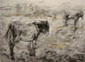 donkey land
