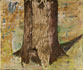 The Tree Stump